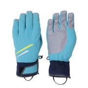 Demo Team Gloves PF878GL02 CB XLサイズ [スキーグローブ]