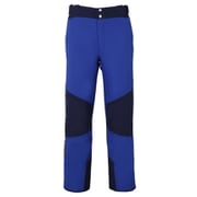 Demo Team Block 3-D Pants PF872OB13 RB XSサイズ [スキーウェア パンツ メンズ]