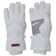 DELTA Combi. Leather W s Gloves PS888GL62 WT Lサイズ [スキーグローブ レディース]
