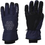 Performance W s Gloves PS888GL65 DN Lサイズ [スキーグローブ レディース]