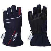 Norway Alpine Team Kid s Gloves PS8G8GL70 DN KMサイズ [スキー グローブ ジュニア]