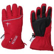 Norway Alpine Team Kids Gloves PS8G8GL70 DR KLサイズ [スキーグローブ ジュニア]