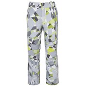 Demo Team Pro 3-D Pants XL-76 GR [スキーウェア パンツ ユニセックス]
