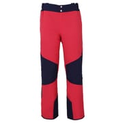 Demo Team Block 3-D Pants XL-76 FLRD [スキーウェア パンツ ユニセックス]