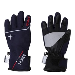 ヨドバシ.com - フェニックス phenix Norway Alpine Team Boys