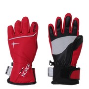 Norway Alpine Team Boy s Gloves PS8G8GL81 DR JSサイズ [スキーグローブ ジュニア]
