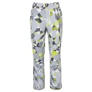 Demo Team Pro W s 3-D Pants S GR [スキーウェア パンツ ユニセックス]