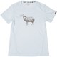 Sheep S/S PH922TS63 IBL Lサイズ [アウトドア カットソー レディース]