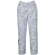 DEMO TEAM PRO 3-D PANTS M-79 シルバー [スキーウェア パンツ ユニセックス]