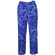 Demo Team Pro 3-D Pants PF972OB11 BL Lサイズ [スキーウェア パンツ メンズ]