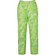 Demo Team Pro 3-D Pants PF972OB11 FGN Lサイズ [スキーウェア パンツ メンズ]