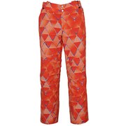 Demo Team Pro 3-D Pants PF972OB11 FLRD XLサイズ [スキーウェア パンツ メンズ]