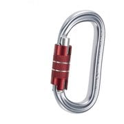 OVAL XL 2LOCK 5212400 [カラビナ]