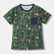 ポーラーパイオニア ウィメンズ ショートスリーブクルー XL 397 WOODLAND TIMBE [アウトドア カットソー]