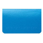 カードサイズダイアリー ブルー 2019年12月始まり RFD2013A