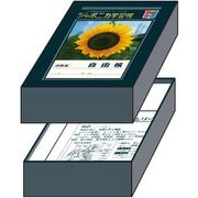 限定 おどうぐばこ ジャポニカ学習帳文具 281998001