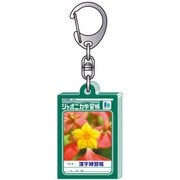 限定 アクリルキーホルダーB ジャポニカ学習帳 355998002