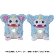 リズモ アクア