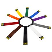 RIP-TIE 25.4mmX114.3mm リップロック ケーブルラップ 虹 10パック RLH-045-010-RW
