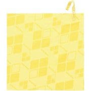 マイクロタオル ハンド PLYL [キャンプ用品 アクセサリー]