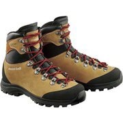 アルパインクルーザー2000 WS 25.5 COYL [トレッキングシューズ レディース]