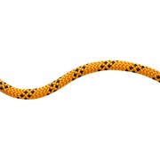 10.0 Performance Static 100m 1039 yellow-black [ロープ・コード]