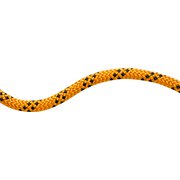 10.0 Performance Static 400m 1039 yellow-black [ロープ・コード]