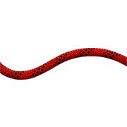 10.5 Performance Static 50m 3072 red-black [ロープ・コード]