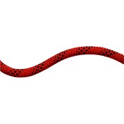 10.5 Performance Static 100m 3072 red-black [ロープ・コード]