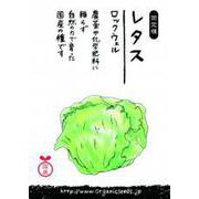 国産レタス(ロックウェル)約120粒
