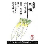 国産大根（ふじ宮重）約50粒