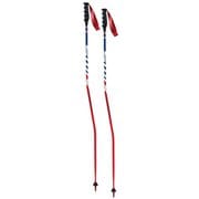 SGC AC115-00 125cm 2本セット [スキー ストック レーシング]