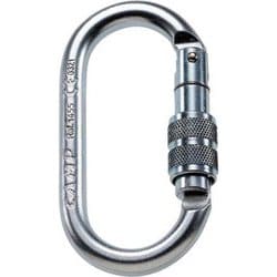 Oval Pro Lock 5145500 [カラビナ]