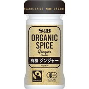 ORGANIC SPICE 有機ジンジャー（パウダー）16g [有機スパイス]