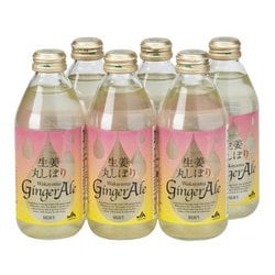 生姜丸しぼり Wakayama GingrAle 6本セット