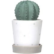 陶器エコ加湿器 気化式 ドット ONL-HF014-DT