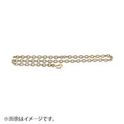 JTC8P106 [チェーン]