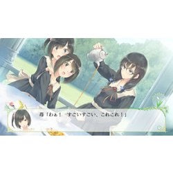 ヨドバシ.com - プロトタイプ PROTOTYPE FLOWERS 四季 [Nintendo