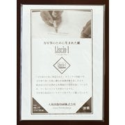 洋形2号封筒 5枚セット Liscio-1（リスシオ・ワン）