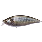 KONOSIRUS SHAD コノシラスシャッド F GG コノシロ