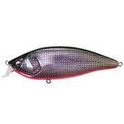 KONOSIRUS SHAD コノシラスシャッド F レンズコノシロRB