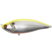 KONOSIRUS SWIMMER コノシラススイマー F M チャートバックコノシロ