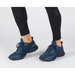 salomon sargasso sea