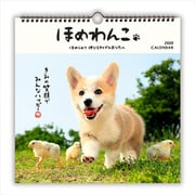 YDC-761-004 [限定 カレンダー ほめわんこ大]