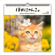YDC-761-011 [限定 カレンダー ほめにゃんこ大]