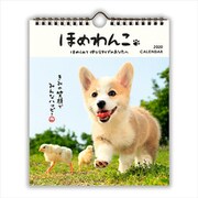 YDC-761-103 [限定 カレンダー ほめわんこ小]