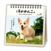YDC-761-202 [限定 卓上カレンダー ほめわんこ]