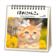 YDC-761-219 [限定 卓上カレンダー ほめにゃんこ]