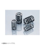 強化バルブスプリングセット 303-2014300