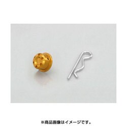 ピボットキャップ ゴールド ゴールド 523-1123710